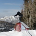 Brett Sharp Photo 34
