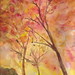 Joanne Mitchell Photo 40