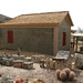 Ramona Murphy Photo 15