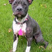 Judith Sparks Photo 14