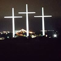 Diane Clarke Photo 4