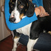 Thelma Bush Photo 8