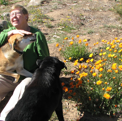 Carol Bower Photo 10