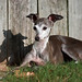 Wanda Madison Photo 15