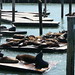 Gregory Seal Photo 11
