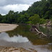 Dianne Rains Photo 3