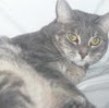 Maria Mcguire Photo 18