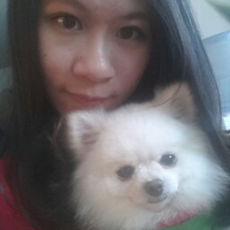 Wing Lui Photo 8