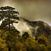 Karl Williams Photo 34