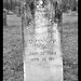 George Gunn Photo 36