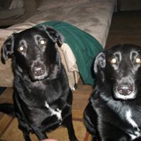Deborah Schell Photo 12