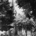 Lee Thacker Photo 18