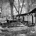 Randall Wolfe Photo 26