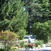 Anita Holland Photo 11