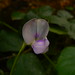 Jiang Ye Photo 11