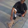 Nilesh Patel Photo 23