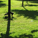 Mark Jorgensen Photo 14