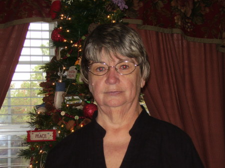 Julie Payne Photo 34