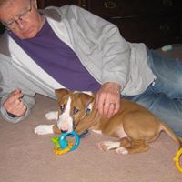 Gerald Gillespie Photo 24
