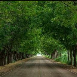 Rafael Reyes Photo 36