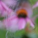 William Warble Photo 11