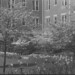 Joseph Terrell Photo 42