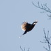 Jay Quick Photo 24