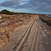 Doyle Webb Photo 14