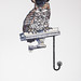 Jon Knickerbocker Photo 10