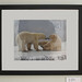 Roger Jackson Photo 37