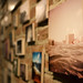 Sandra Rohrer Photo 15