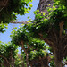 Joseph Dougherty Photo 48