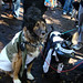 Amy Tompkins Photo 37