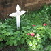 Maria Ames Photo 15