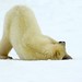 Jason Steele Photo 44