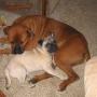 Shirley Mcelroy Photo 18
