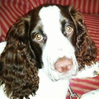 Judy Williamson Photo 10