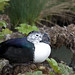 Bill Combs Photo 4