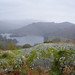 Janet Moss Photo 11