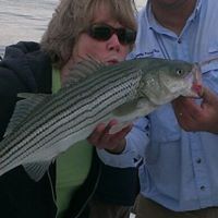 Nancy Glassman Photo 7