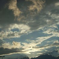 Patricia Spaulding Photo 7