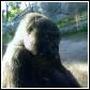 Robyn Hubbard Photo 11