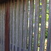 Richard Gates Photo 36
