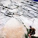 Dave Reinert Photo 3