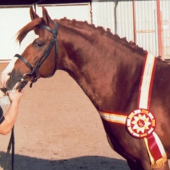 Kathleen Rawls Photo 9