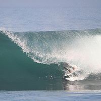 Dale Andersen Photo 9