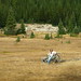 Shawn Marsh Photo 10