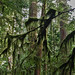 Douglas Grove Photo 23