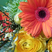 Stacy Flowers Photo 27