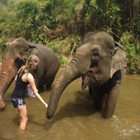 Kimberly Schoen Photo 13